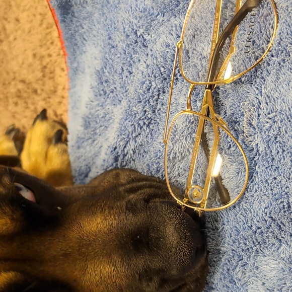 Versace frames - Picture 5 of 5